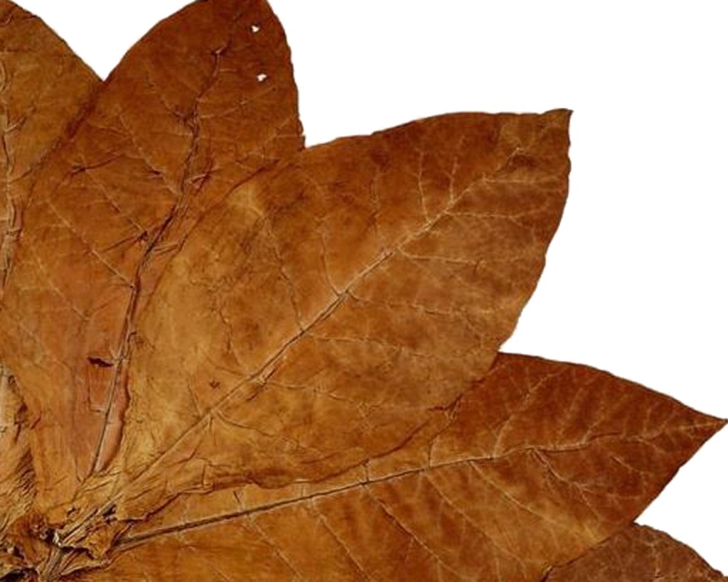 Pipe Tobacco - Samual Gawith Squadron Leader - Tin Of 50g