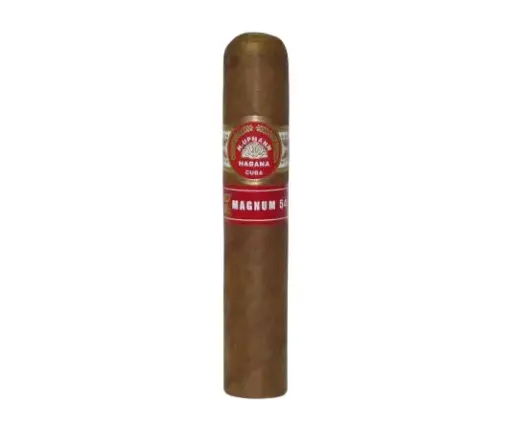 [48963] H. Upmann Magnum 54 Aged 2019 - Single Cigar