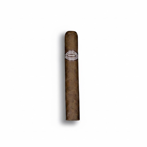 [8391] Rafael Gonzalez Perla - Single Cigar